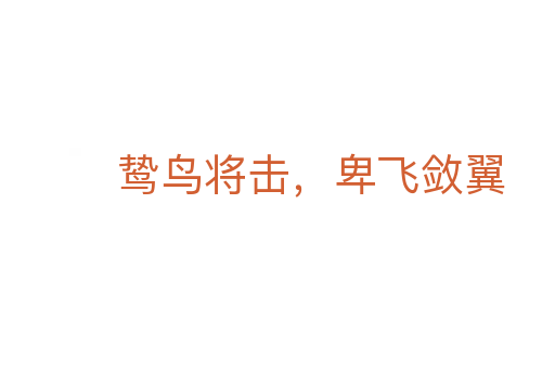 鸷鸟将击,卑飞敛翼