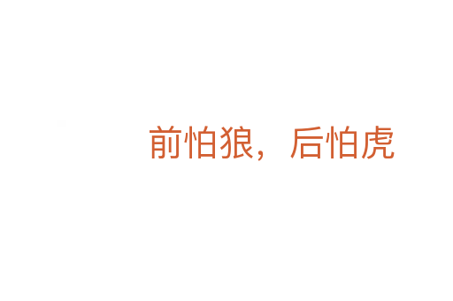 前怕狼,后怕虎