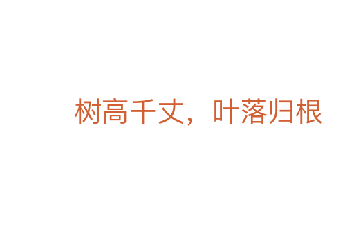 树高千丈,叶落归根