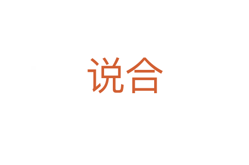 说合