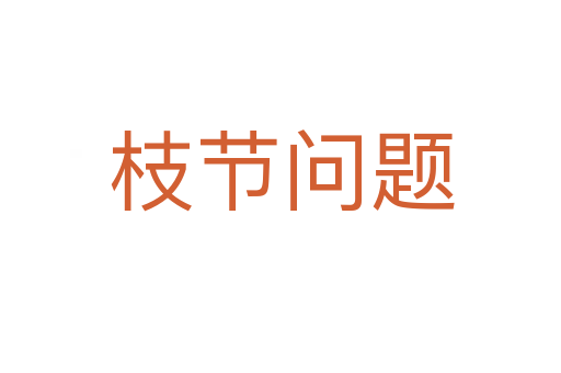 枝节问题