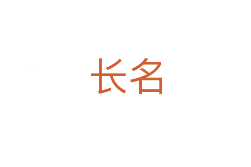 长名