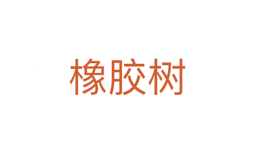 橡胶树